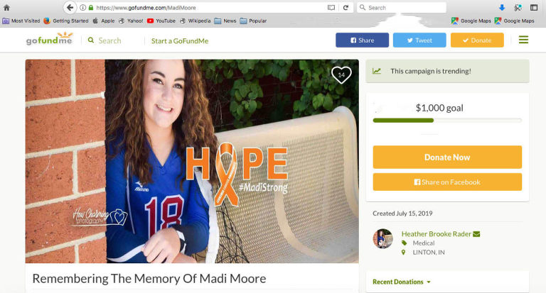 Click for gofundme page